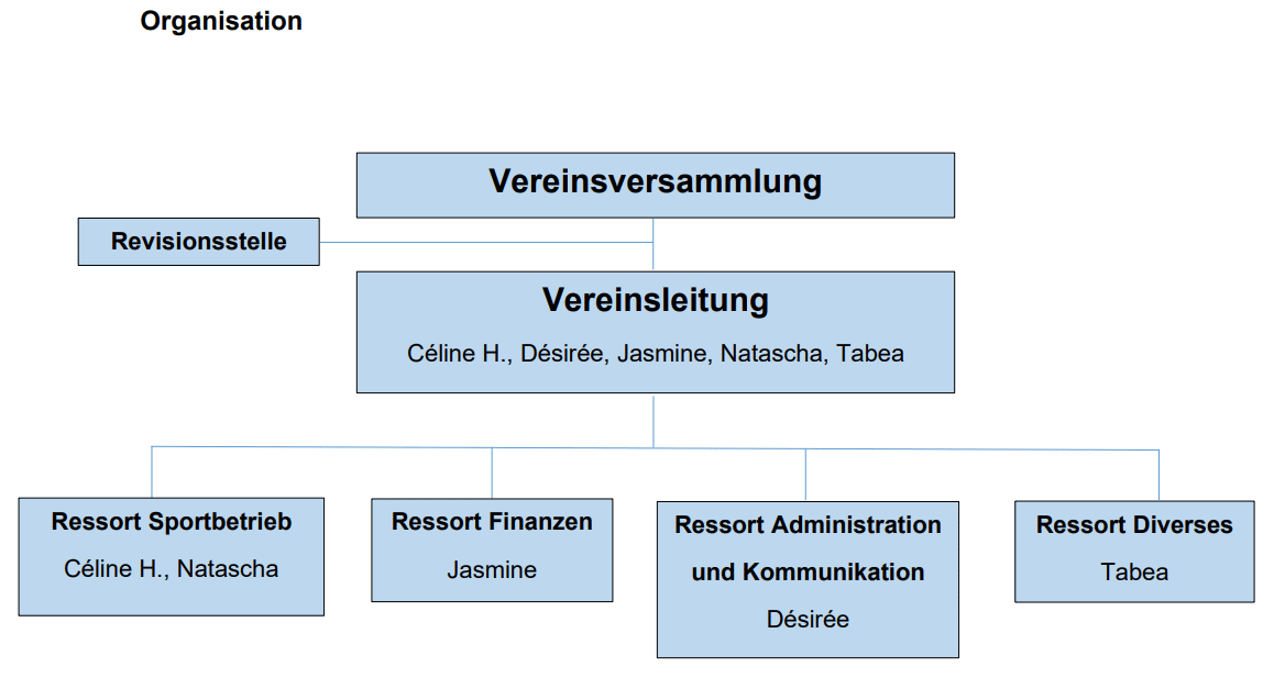 Vereinsorganisation